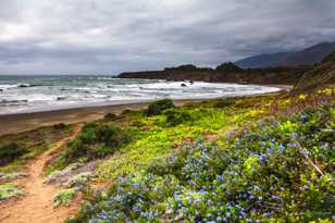 Big Sur coast-8467